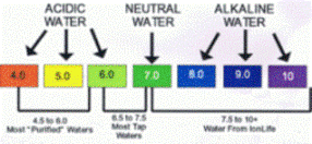 pH, diet, body, food, acidity, alkaline